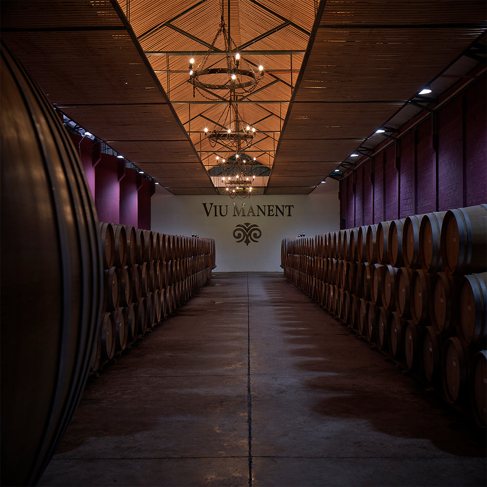 Guarda del Vino/Barrica