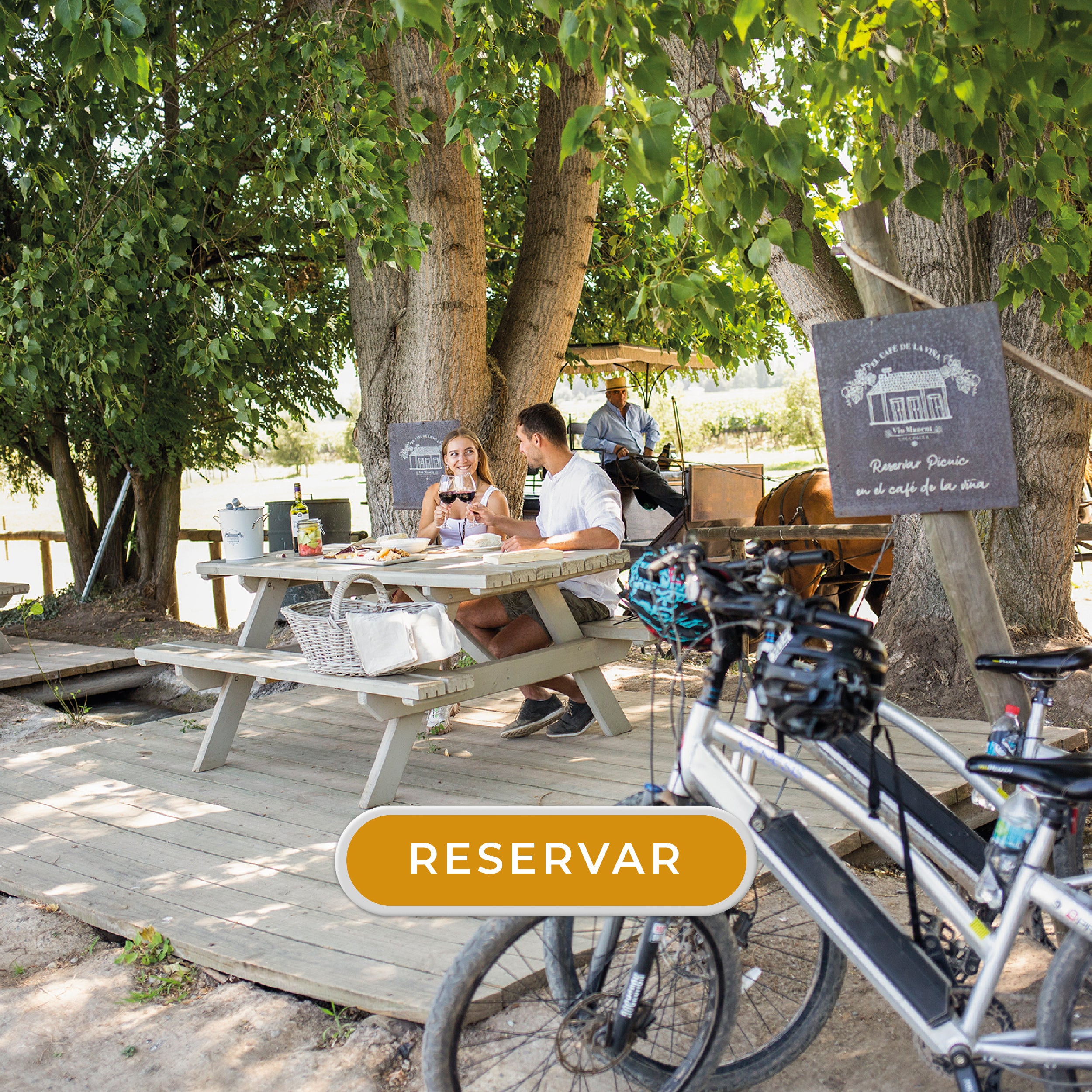 BICICLETA Y PICNIC POR EL CAMPO
