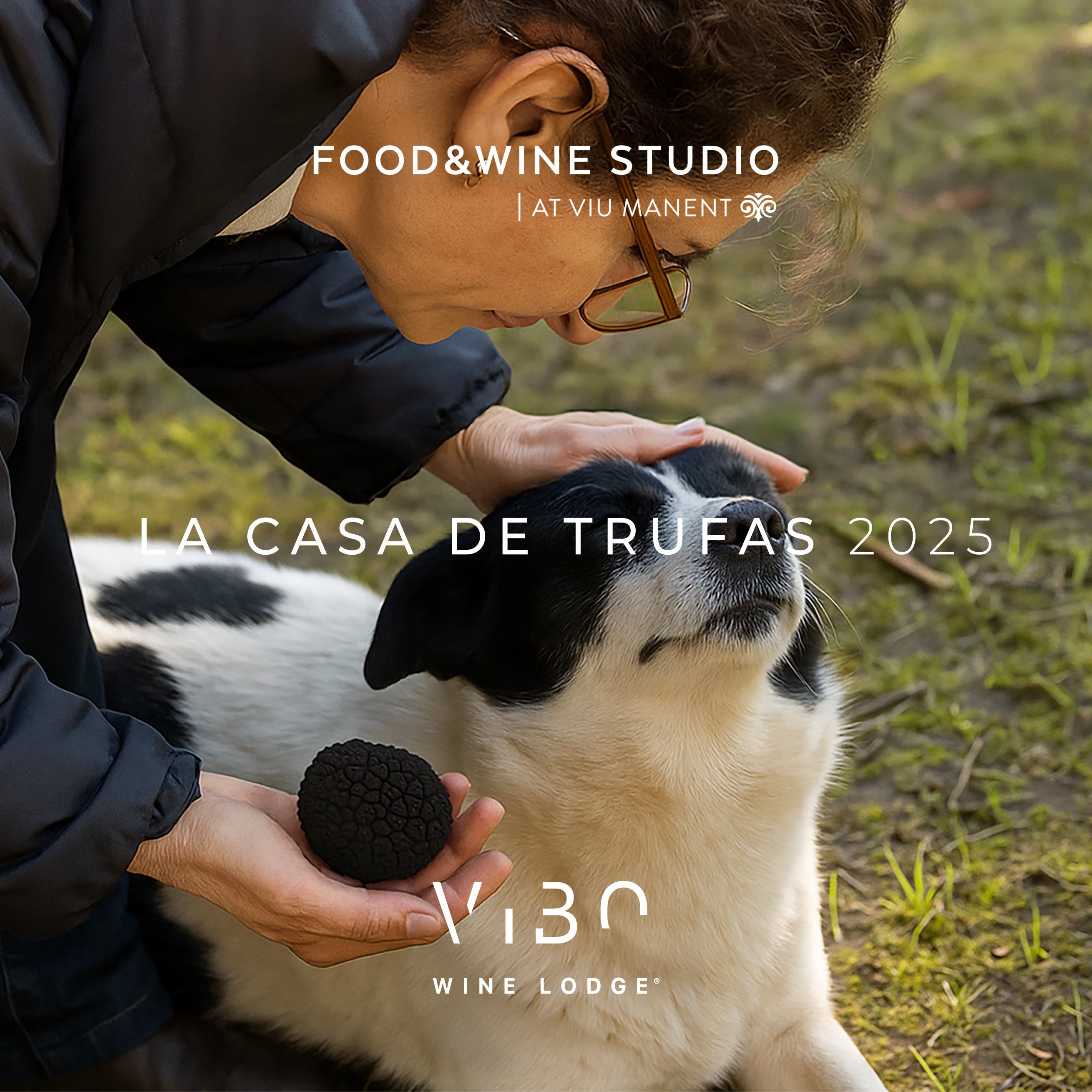 Caza de trufas & ViBo Wine Lodge