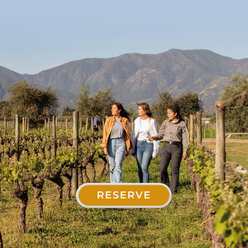 WALKING IN THE VINEYARD TOUR