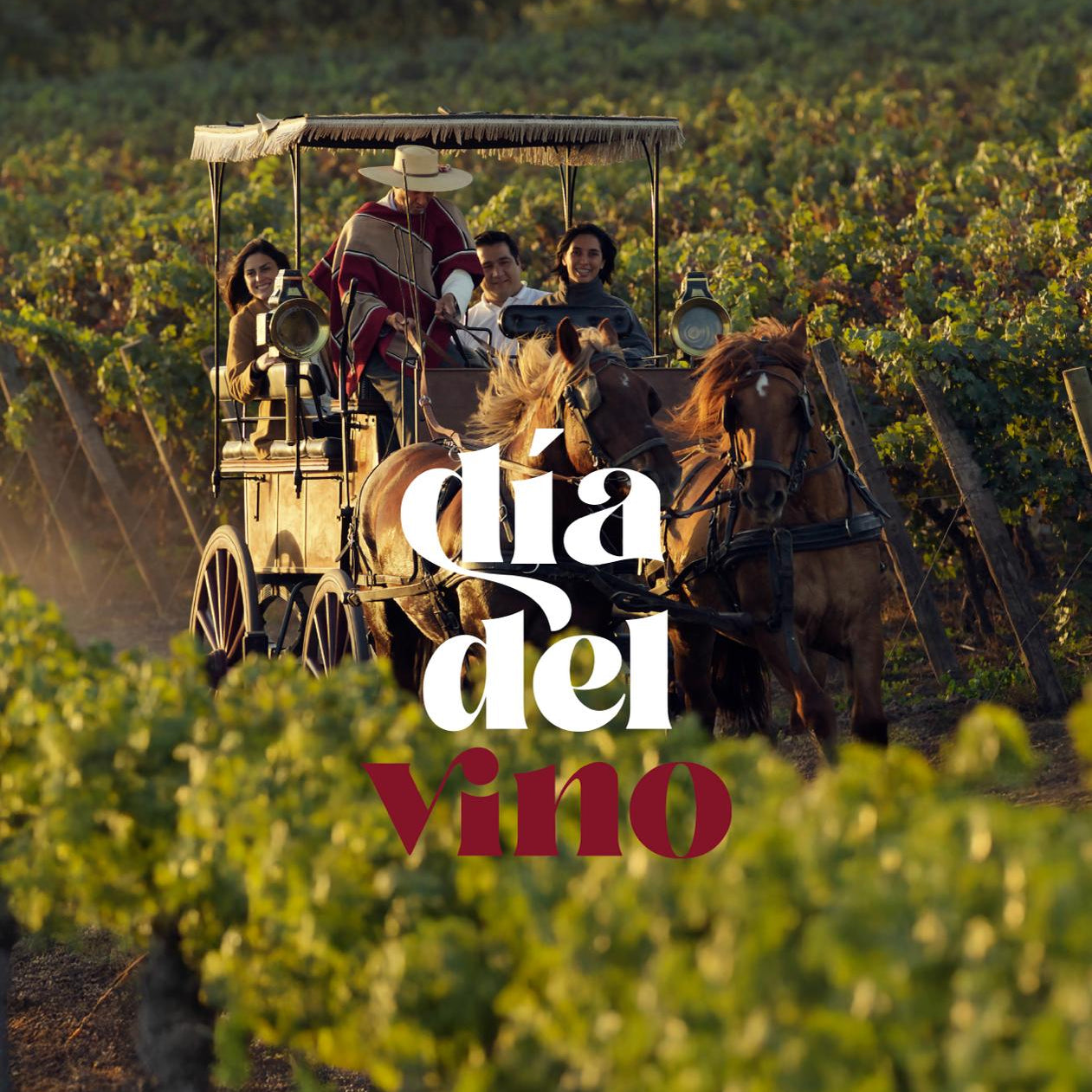Día del Vino en VIU