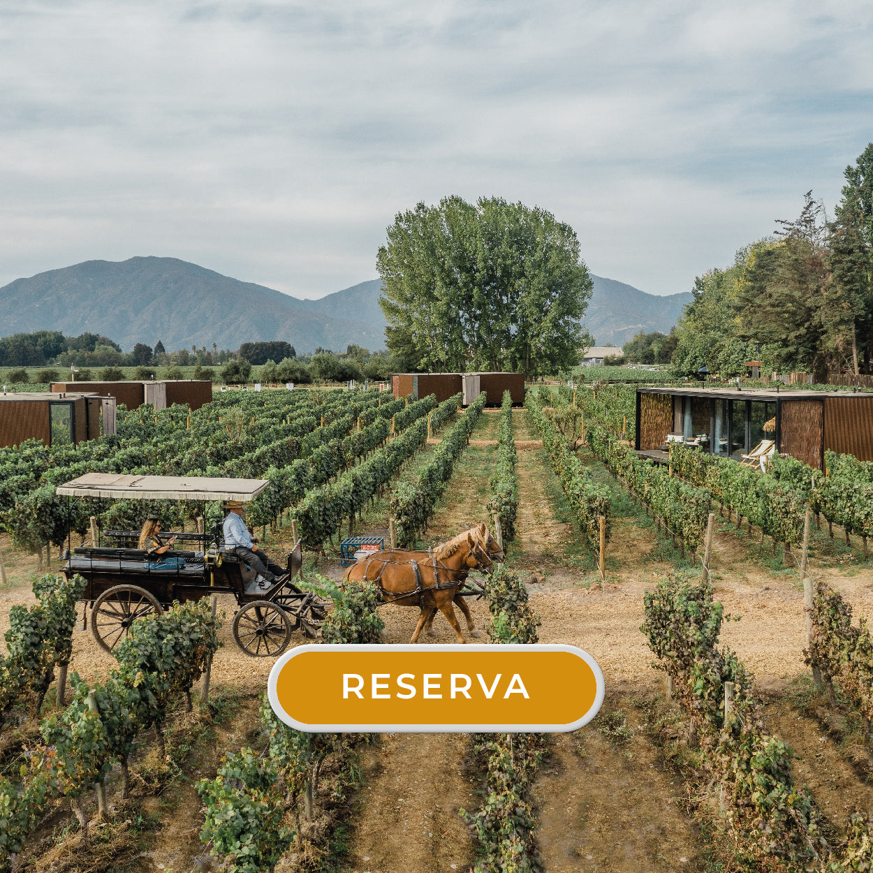 ESCAPADA A VIU MANENT