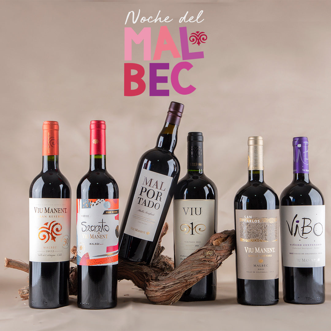 Noche del Malbec Viu Manent en Rubaiyat Santiago