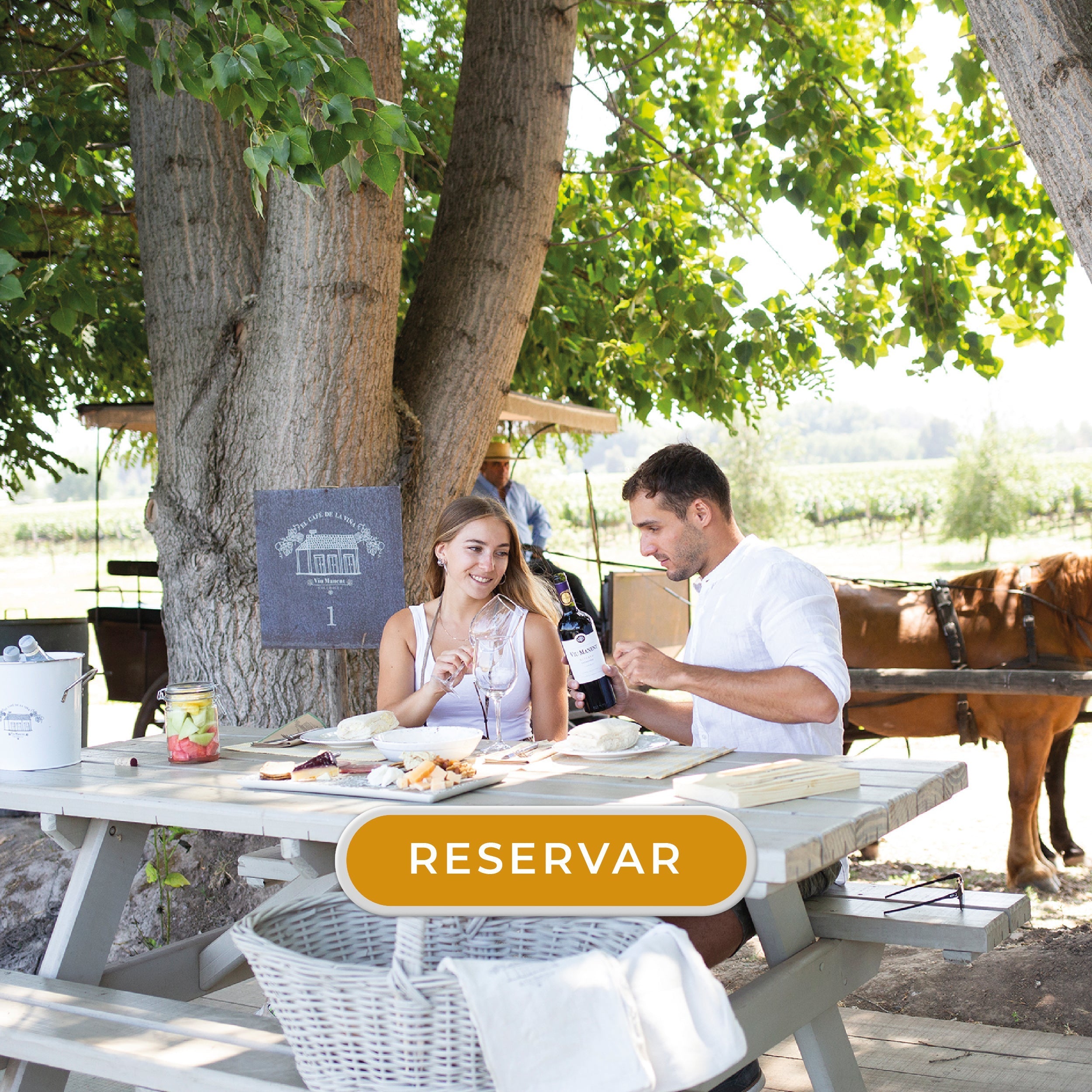 PICNIC DEL CAFE