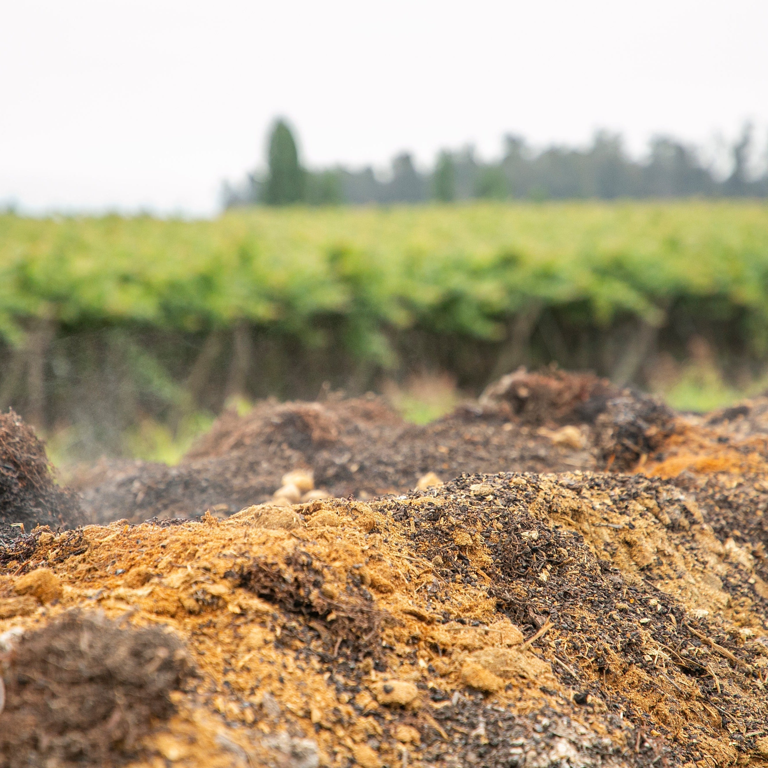 COMPOSTAJE EN VIU MANENT