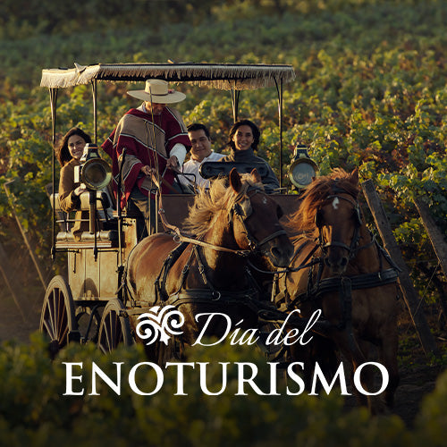 DIA DEL ENOTURISMO