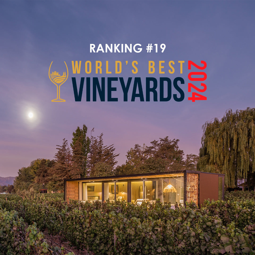 Viu Manent reconocida entre los 50 Mejores Viñedos del Mundo 2024