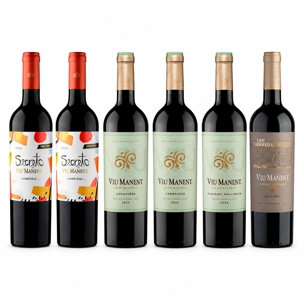Pack Mix Cyber Viu Manent de seis botellas