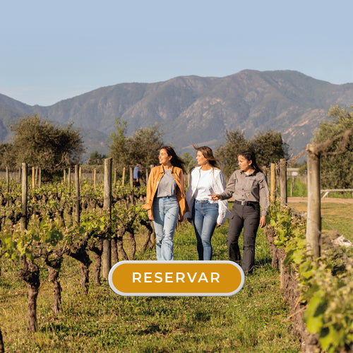 TOUR CAMINATA POR EL VIÑEDO