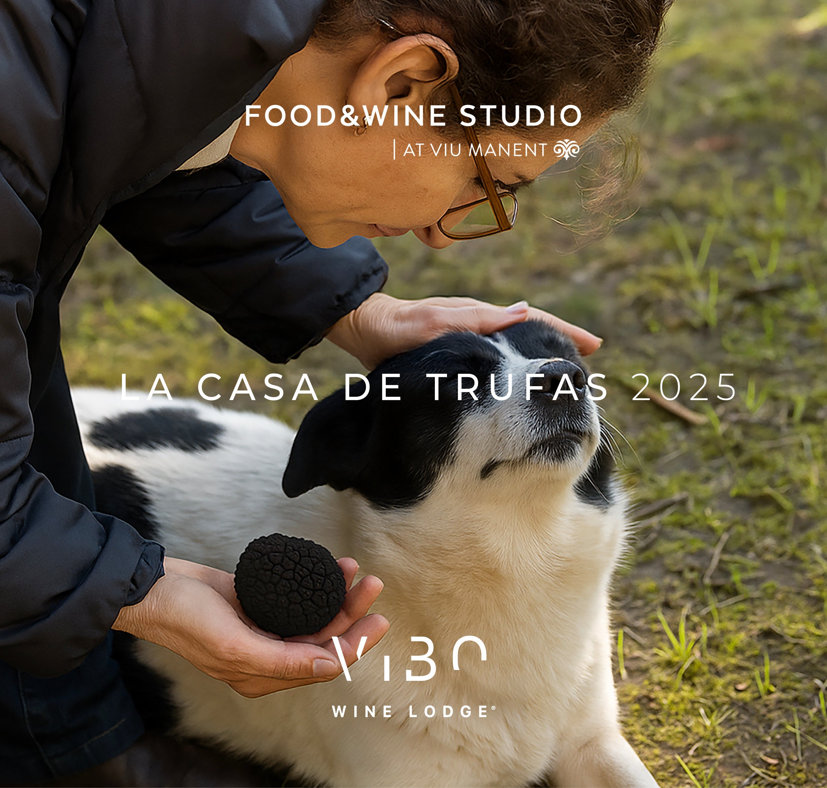 Caza de trufas & ViBo Wine Lodge