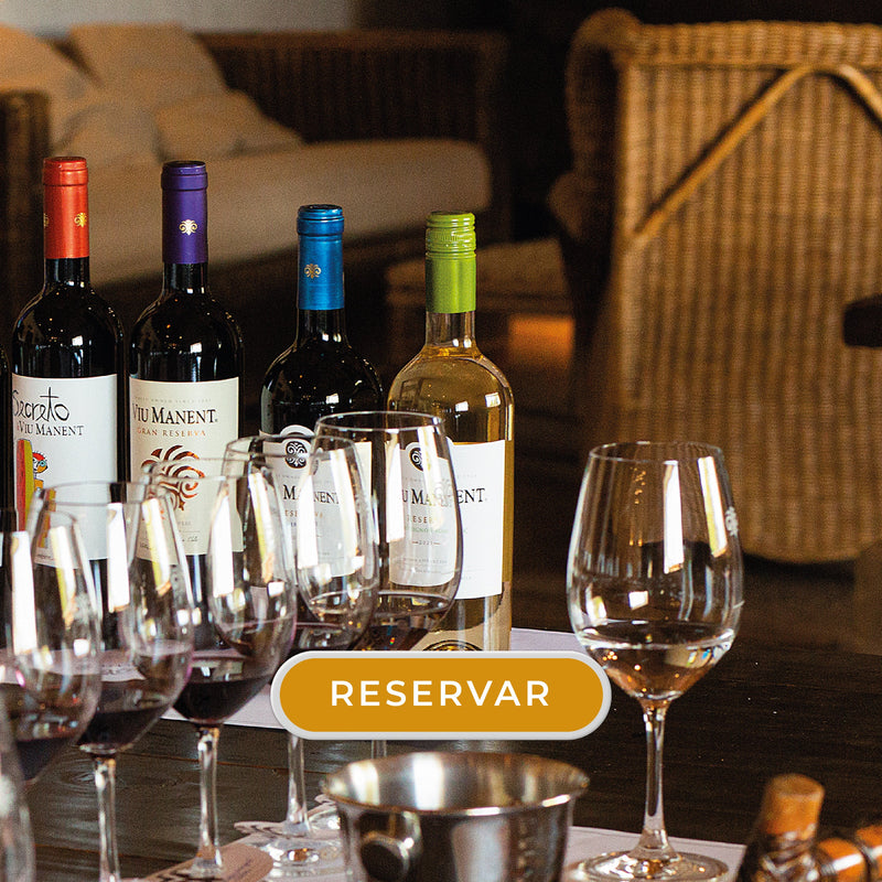 DEGUSTACION CLASICA