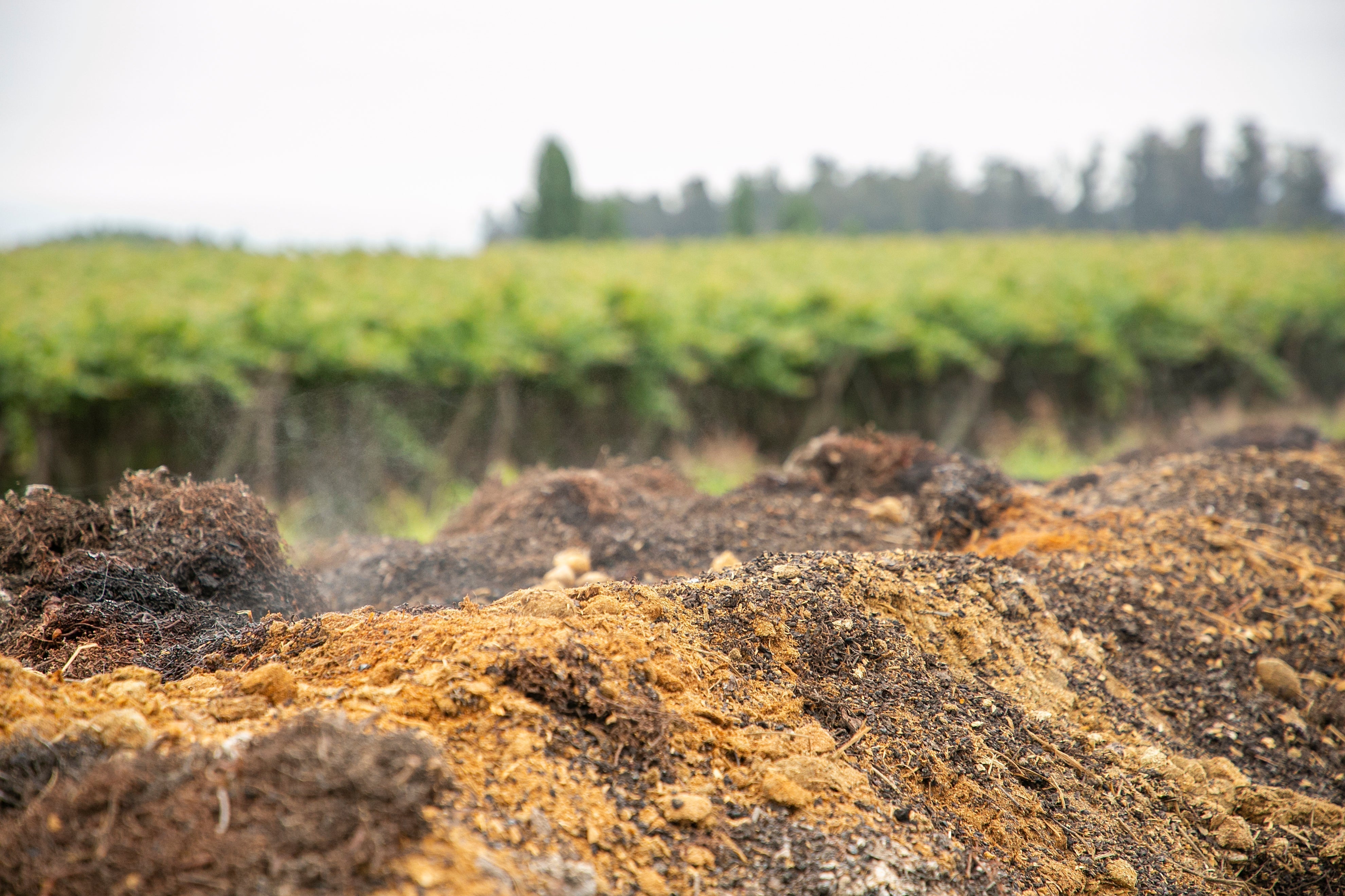 COMPOSTAJE EN VIU MANENT