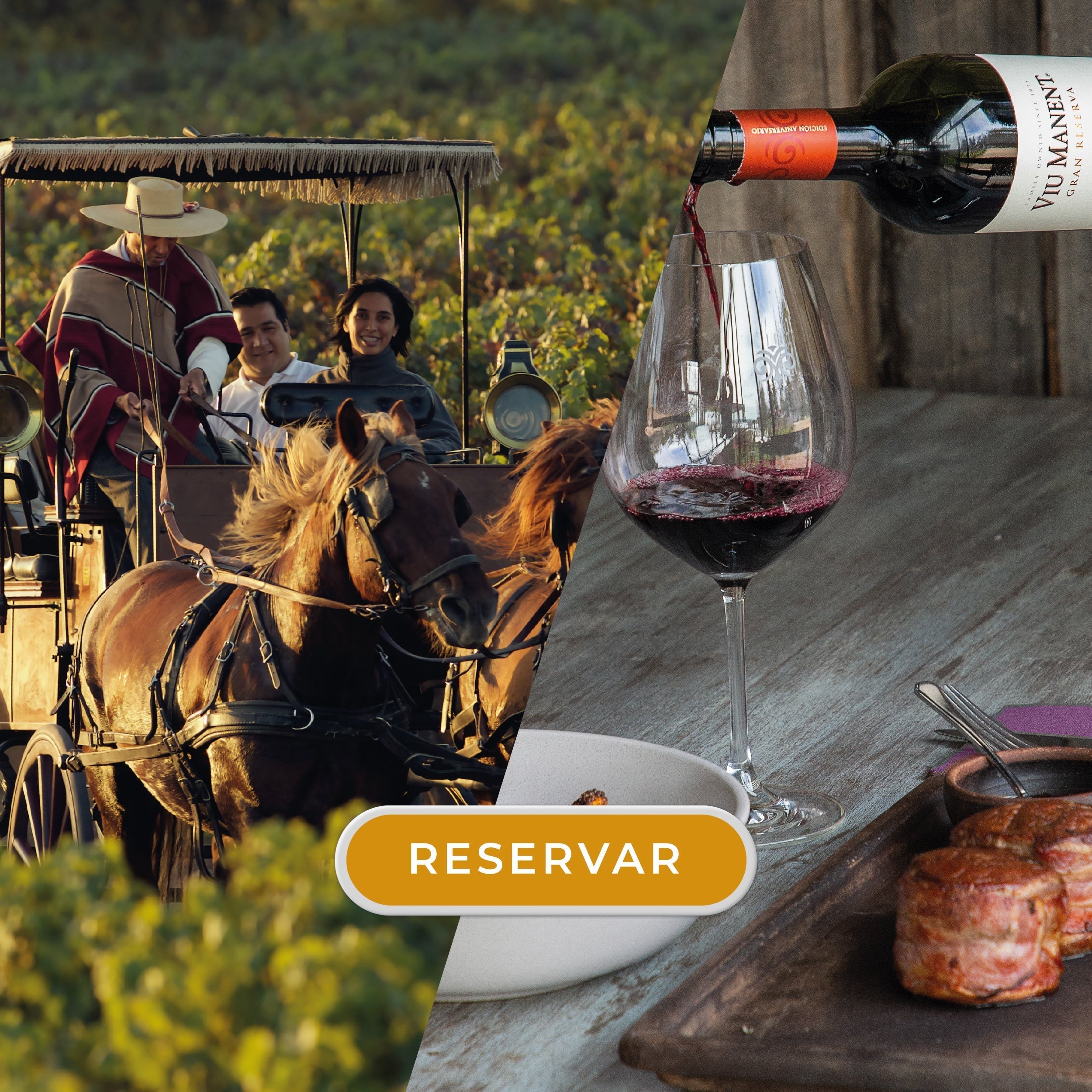 Tour Vinos de Lujo + Almuerzo