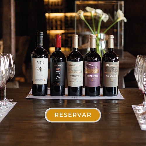 TOUR ICONO PRIVATE EXPERIENCE