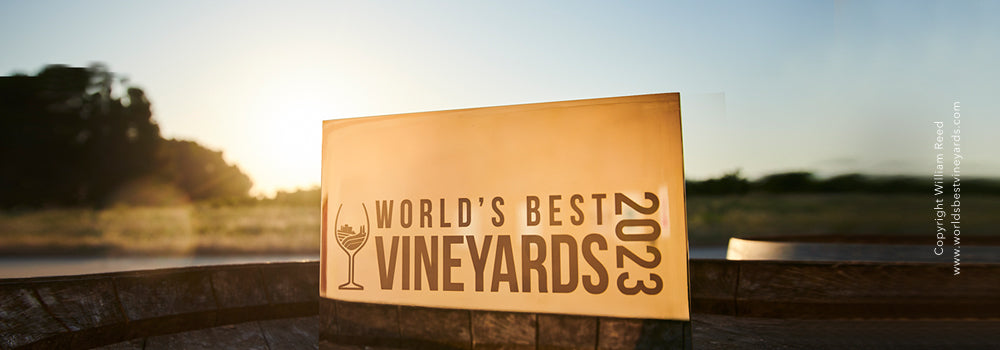 Viu Manent nuevamente reconocida entre los 50 Mejores viñedos del mundo para visitar en 2023