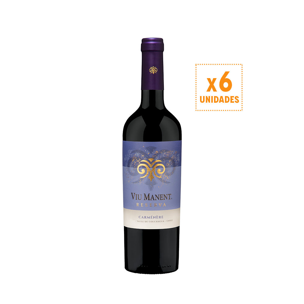 Caja 6 Botellas Reserva Malbec – Viu Manent